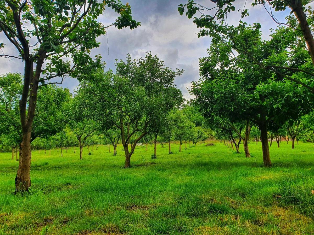 La Padure Ξενοδοχείο Brebu Εξωτερικό φωτογραφία
